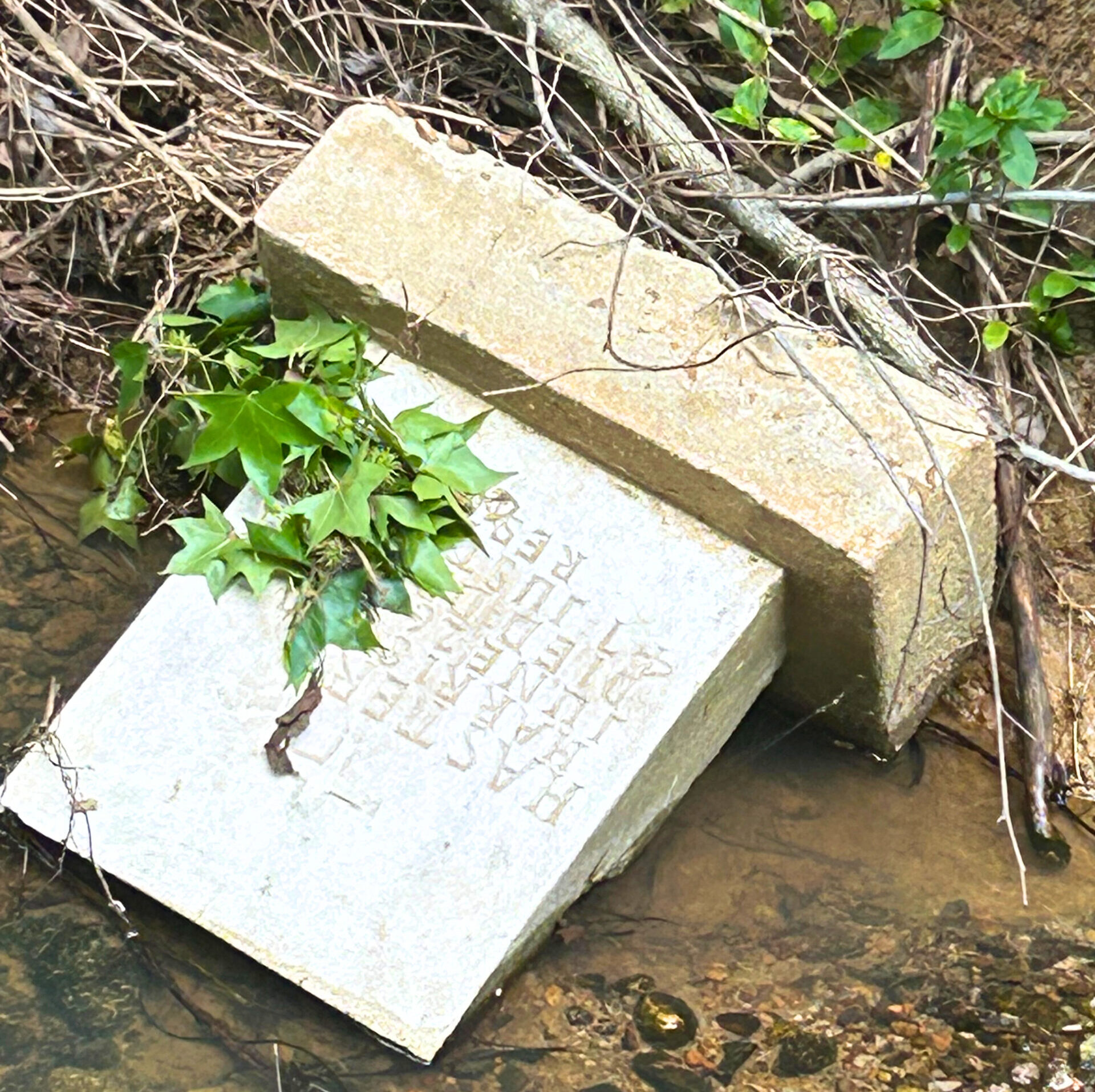 Read more about the article In This Place: Remembering the Sacred Legacy of St. Paul’s Episcopal Church in Mason